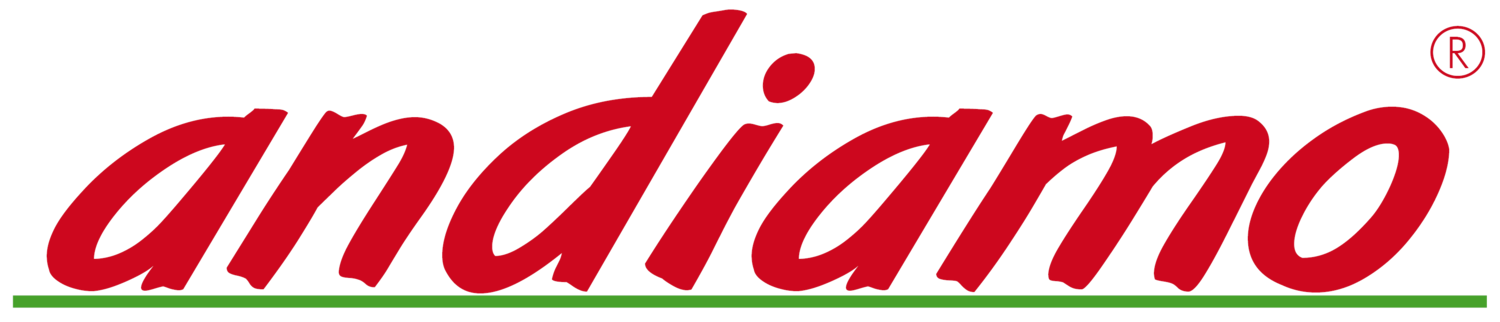 Andiamo Logo
