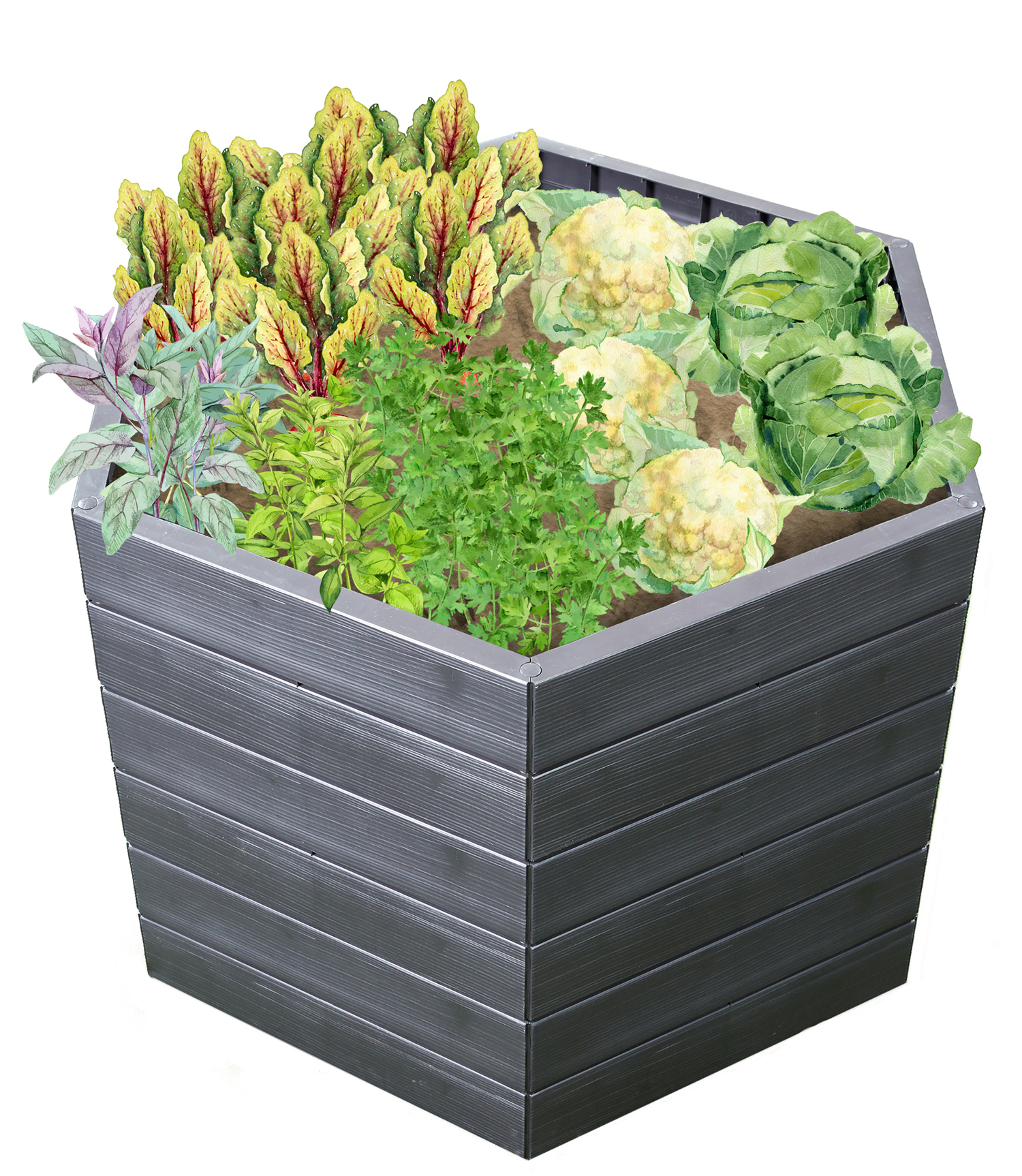 Garantia Ergo L 75 Hochbeet, 6-Eck, Wood, Kunststoff, Flora Wassersparsystem, 110 x 75 cm Produktabbildung