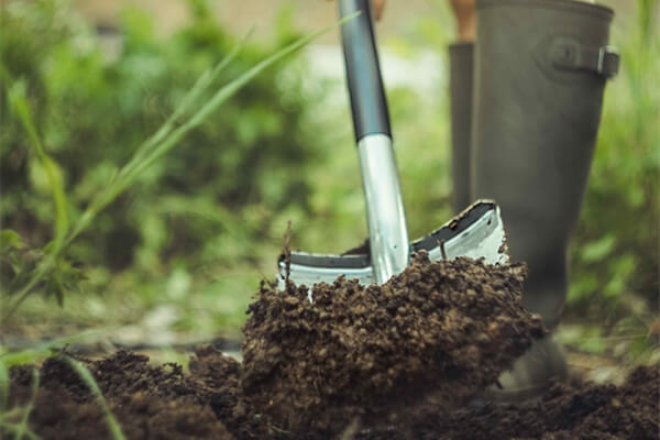 Eine Person gräbt mit einer Schaufel in der Erde