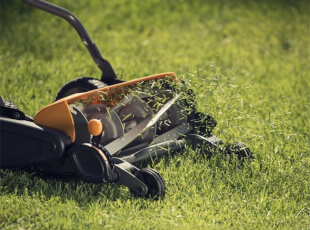 Handrasenmäher schneidet Gras auf einer Wiese