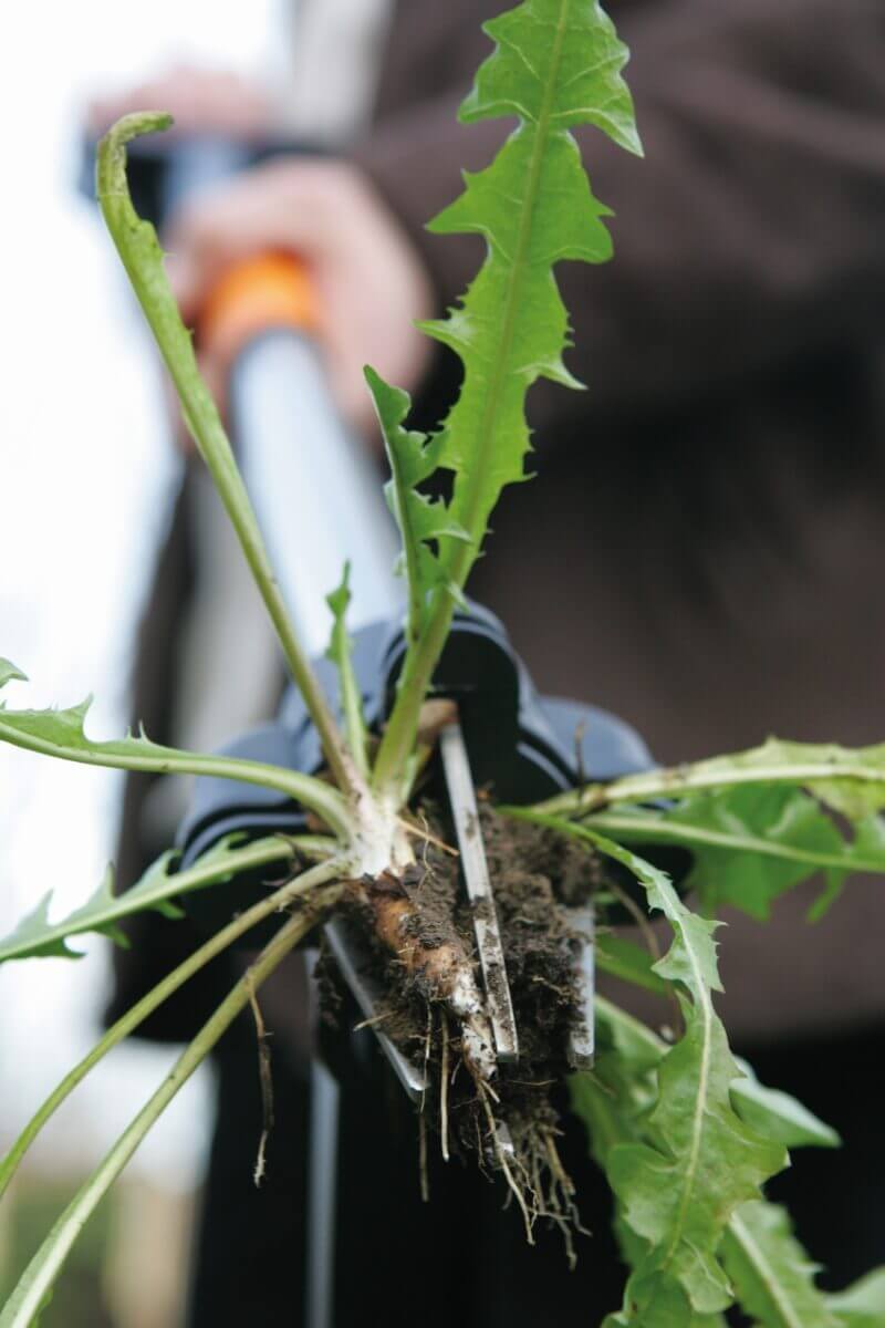 Fiskars Teleskop-Unkrautstecher SmartFit, schwarz mit Handschuh Produktabbildung 4