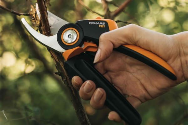 Eine Hand hält eine orange-schwarze Gartenschere an einem Ast