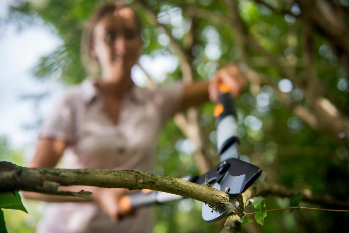 Fiskars SmartFit Teleskop-Astschere L86 | teleskopierbare Griffe, Teleskop-Baumschere Produktabbildung 7