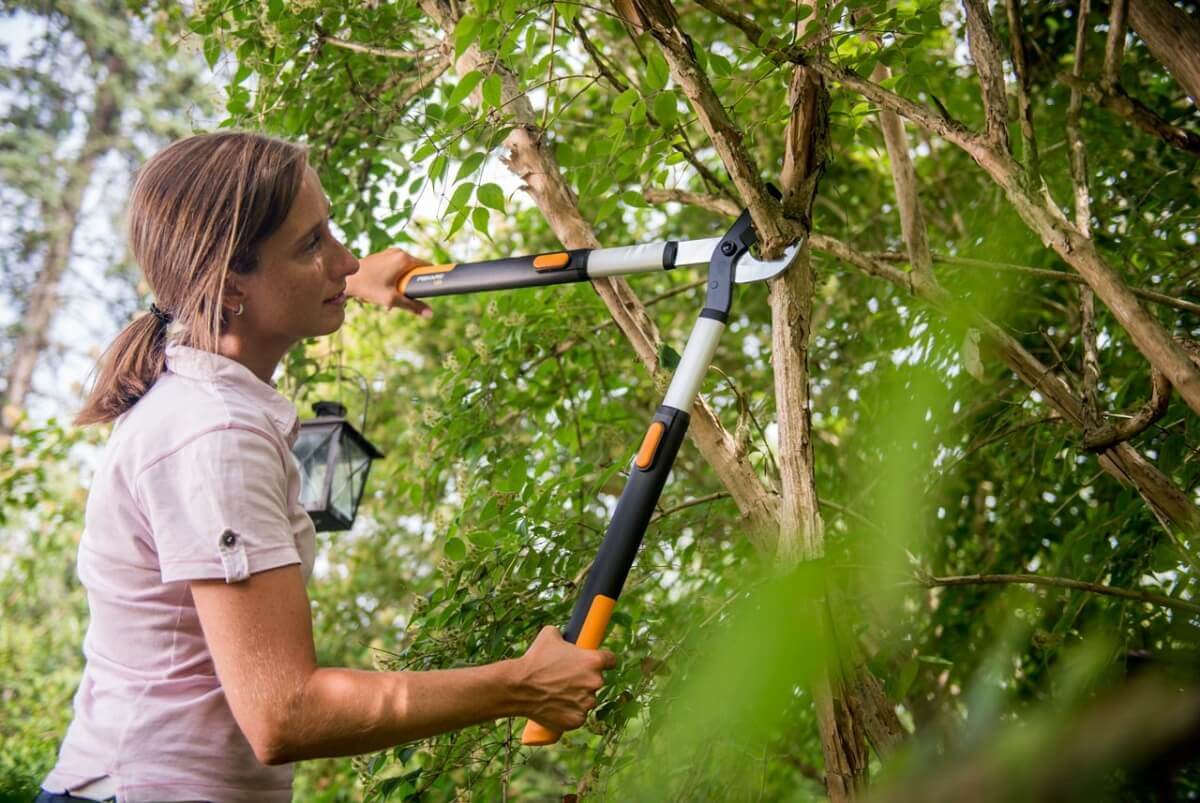 Fiskars SmartFit Teleskop-Astschere L86 | teleskopierbare Griffe, Teleskop-Baumschere Produktabbildung 6