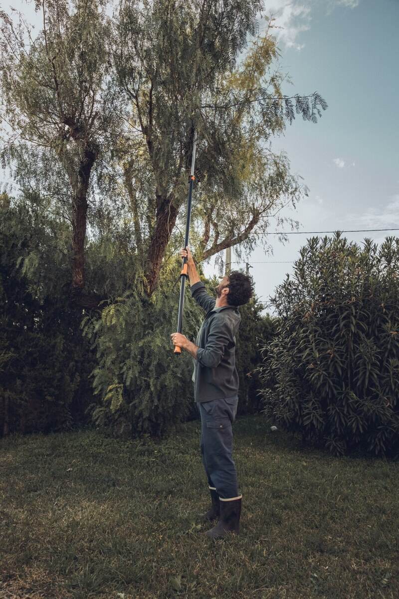 Fiskars Set Schneidgiraffe UPX86 + Baumsäge + L28 & P26 Scheren Produktabbildung 6