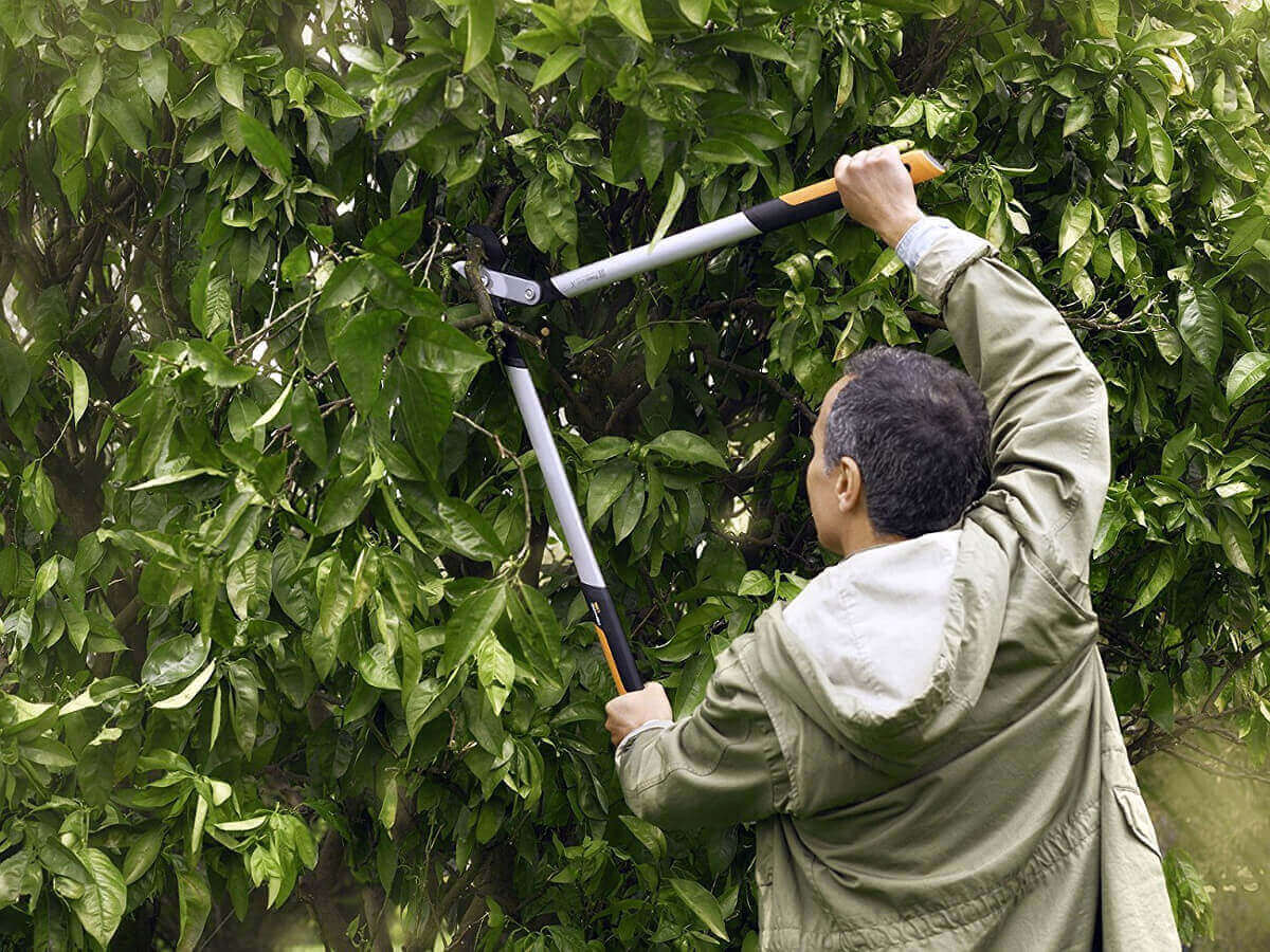 Fiskars Getriebeastschere Amboss LX99 L mit PowerGear Gartenschere Bypass PX94  Produktabbildung 4