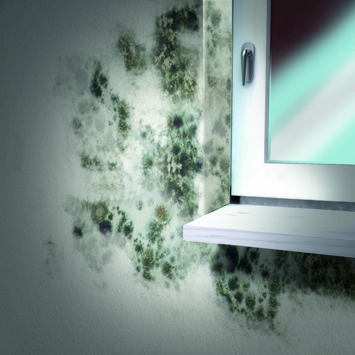 MEM Schimmel-Entferner, 500 ml, geeignet für Wohn- und Schlafräume Produktabbildung 4