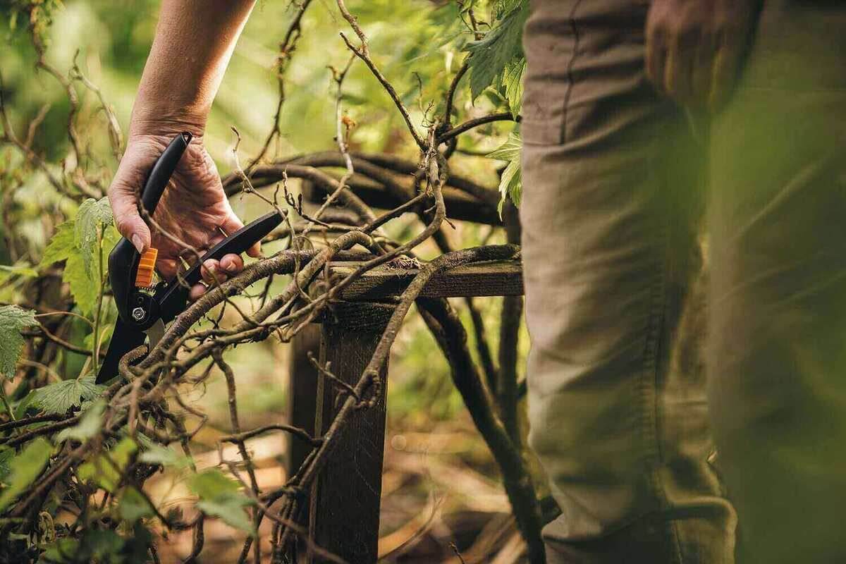 Fiskars - SingleStep Gartenschere Allzweckschere, Universalschere, Bypass oder Amboss Produktabbildung 5