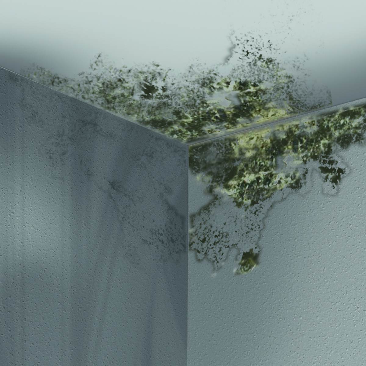 MEM Schimmel-Entferner, 500 ml, geeignet für Wohn- und Schlafräume Produktabbildung 3