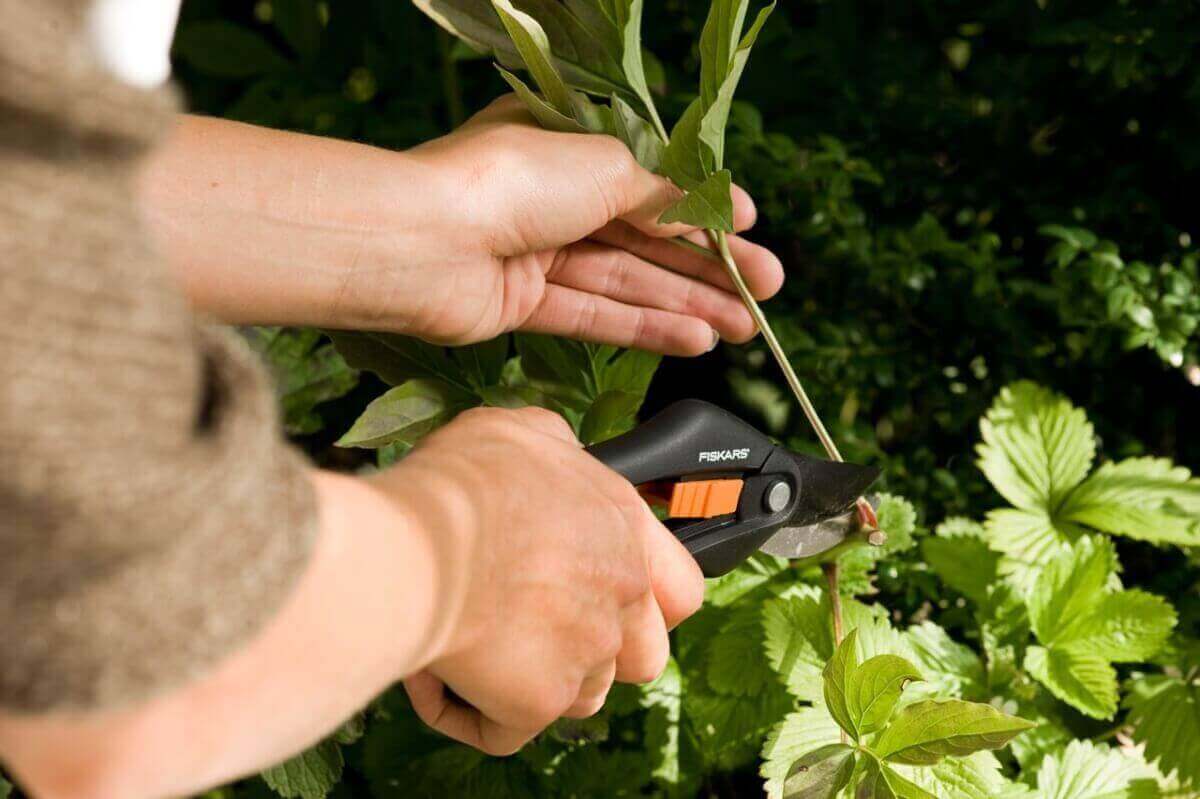 Fiskars - SingleStep Gartenschere Allzweckschere, Universalschere, Bypass oder Amboss Produktabbildung 4