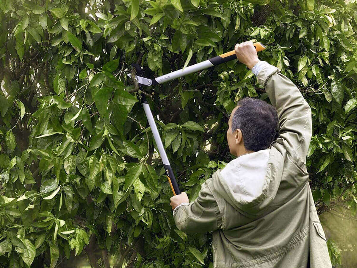 Fiskars PowerGearX Bypass-Astschere LX92-S | LX94-M | LX98-L Getriebeastschere Produktabbildung 9