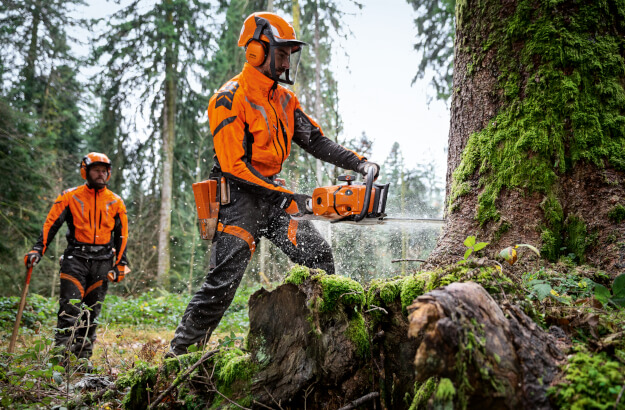 Stihl Forstarbeit - Kettensäge