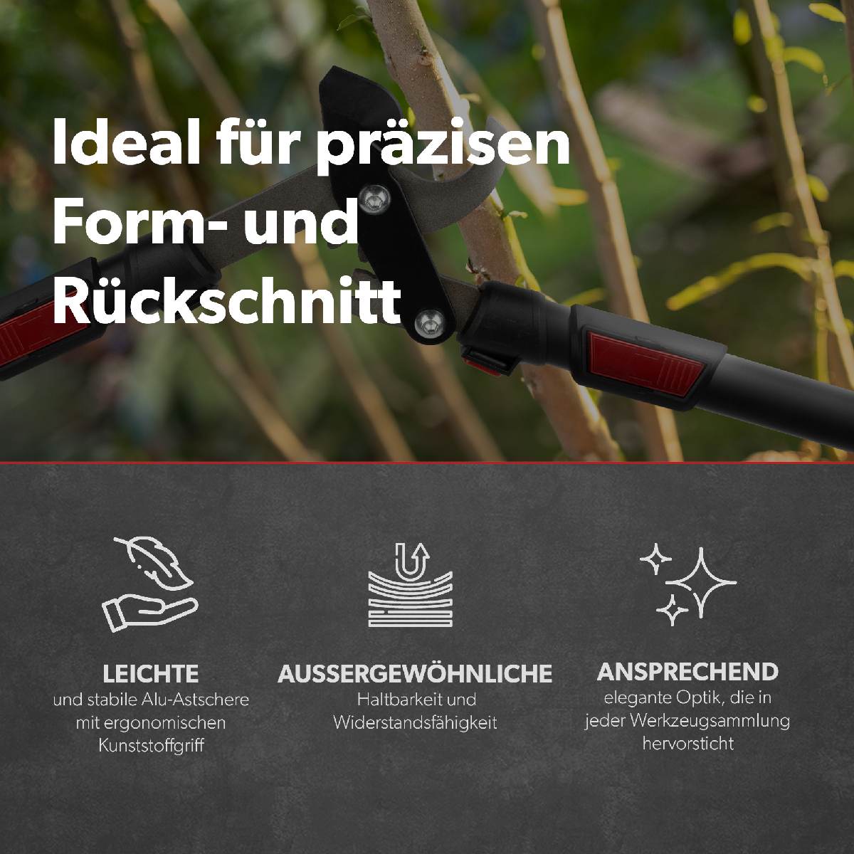 B-Ware siwitec Bypass Getriebe Astscheren für frisches Holz, Baumschere, teleskopisch Produktabbildung 6