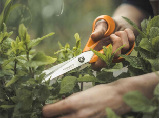 Fiskars Schere