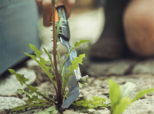 Fiskars Fugenkratzer & Fugenbürste