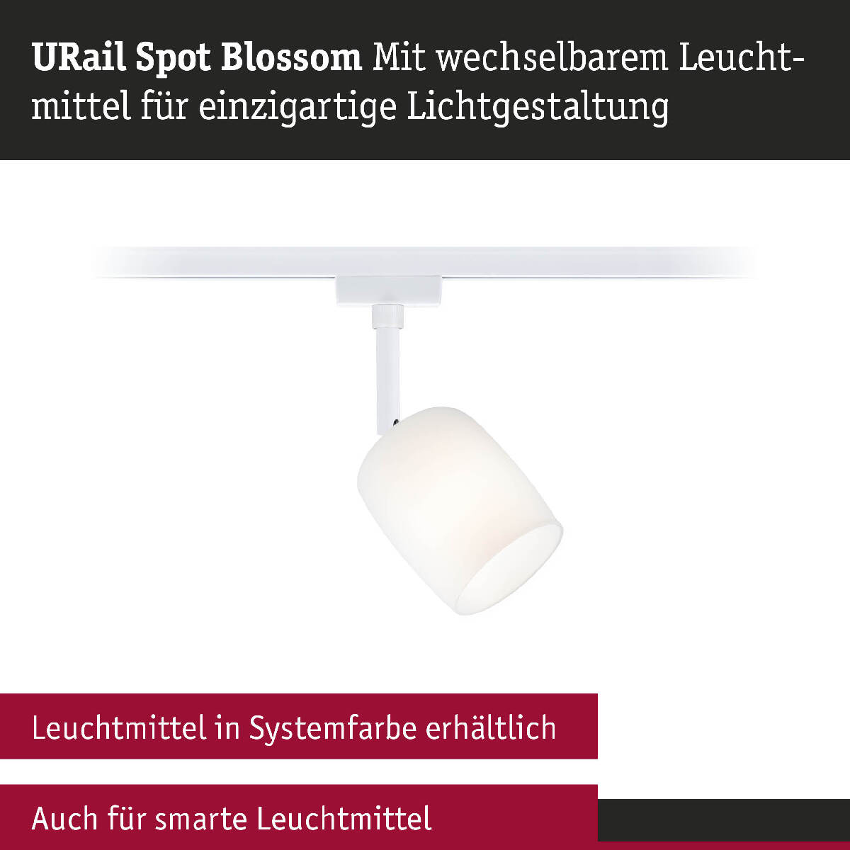 Paulmann URail Spot Blossom, Schienensystem Deckenleuchte G9, Metall Glas, Signalweiß, Leuchte Satin Produktabbildung 7