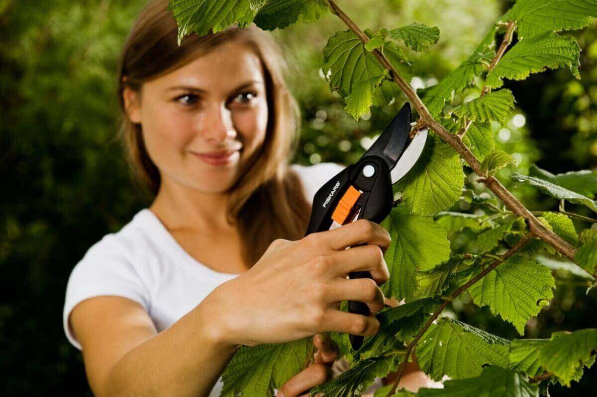 Fiskars - SingleStep Gartenschere Allzweckschere, Universalschere, Bypass oder Amboss Produktabbildung 3
