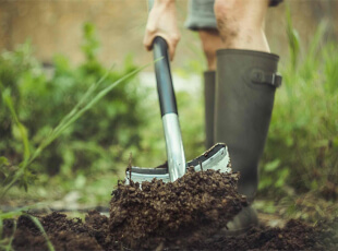 Eine Person gräbt mit einer Schaufel in der Erde
