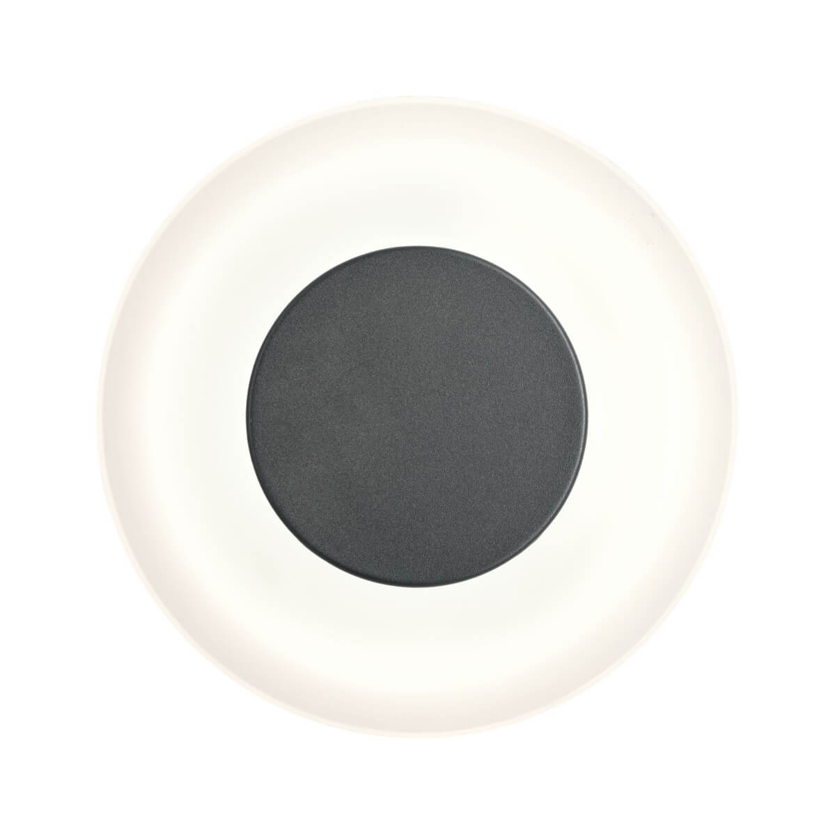 Paulmann Outdoor Wandleuchte Circea, Anthrazit, IP44, 4W, 230V, Warmweiß Produktabbildung 1