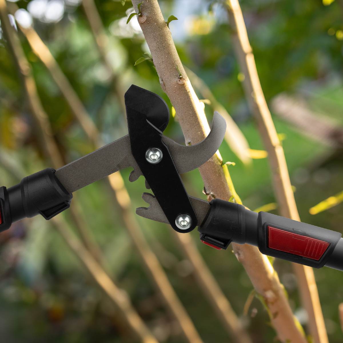B-Ware siwitec Bypass Getriebe Astscheren für frisches Holz, Baumschere, teleskopisch Produktabbildung 2