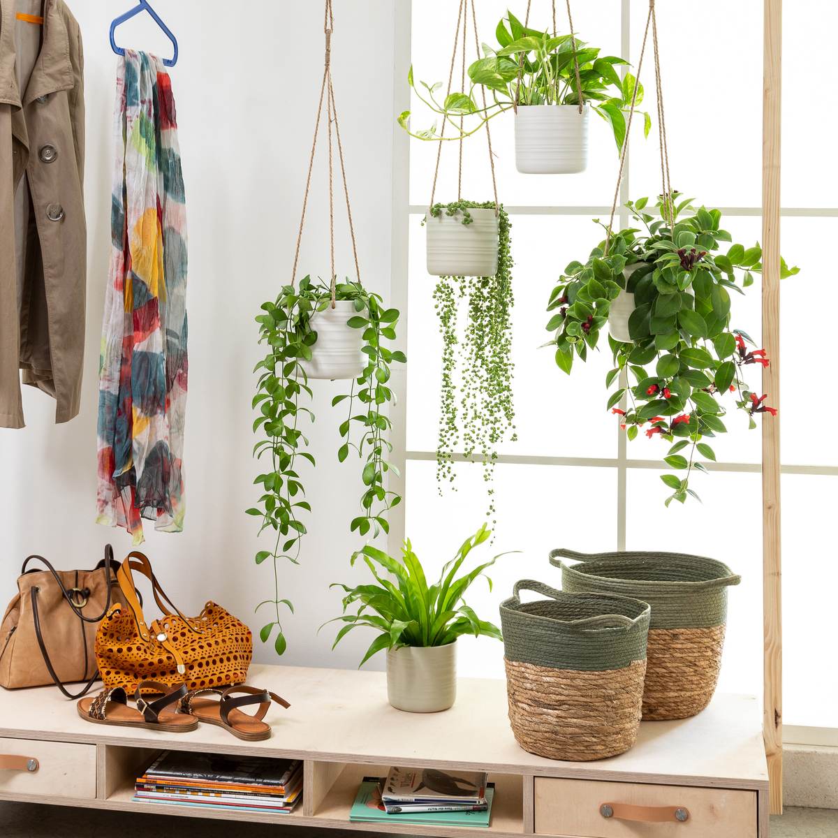 Scheurich Cottage Hängeampel aus Keramik, rund, Baumwoll Aufhängung, mehrere Farben und Grössen Produktabbildung 2