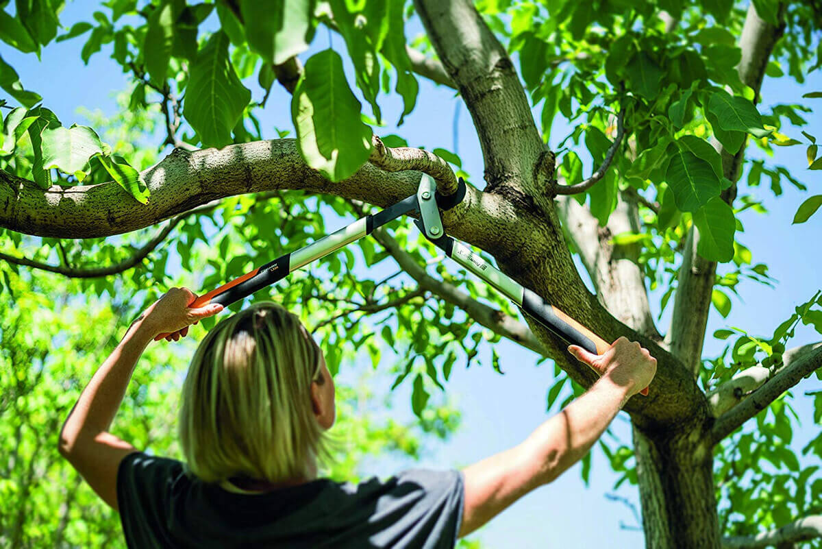 Fiskars PowerGearX Bypass-Astschere LX92-S | LX94-M | LX98-L Getriebeastschere Produktabbildung 3