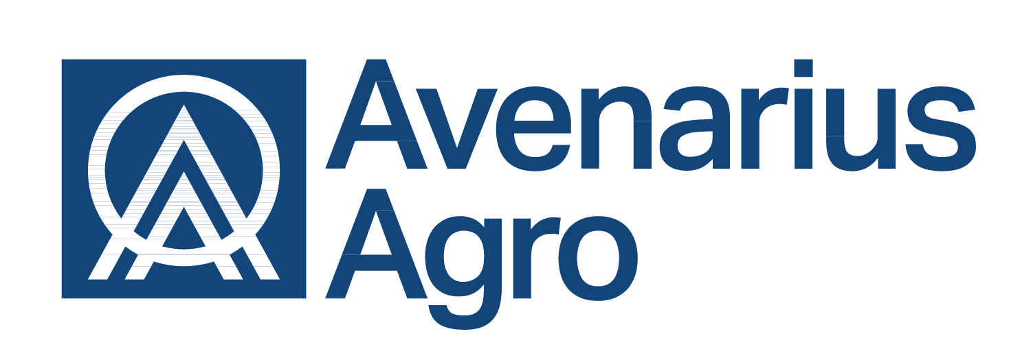 Avenarius Logo