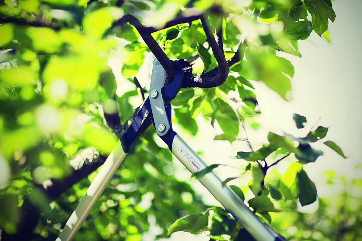 Fiskars PowerGearX Bypass-Astschere LX92-S | LX94-M | LX98-L Getriebeastschere Produktabbildung 5