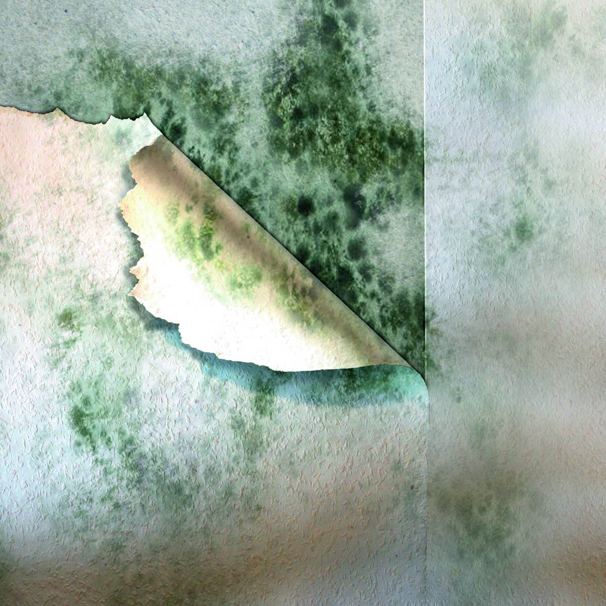 MEM Schimmel-Entferner, 500 ml, geeignet für Wohn- und Schlafräume Produktabbildung 6