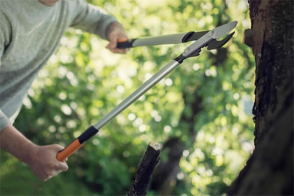 Fiskars Bypass- und Amboss-Astscheren