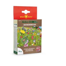 Kategoriebild Saatgut