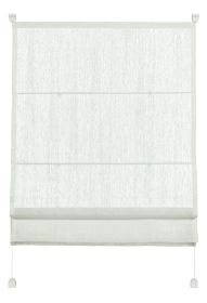 Kategoriebild Raffrollos